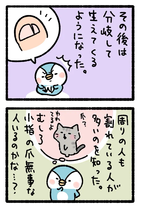 足の小指の爪(2/2) 