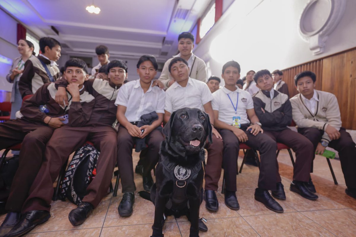 secretariasvet's tweet image. 🧵2/2
🌐El chatbot Olivet que con la estrategia #ModoDigital, renovamos herramientas que orientan y empoderan a niñas, niños y adolescentes:
💬 OLIVET ahora es más ágil y humano.
🛡️ CIBERGUARDIANES acompañan con su nueva imagen la navegación segura.