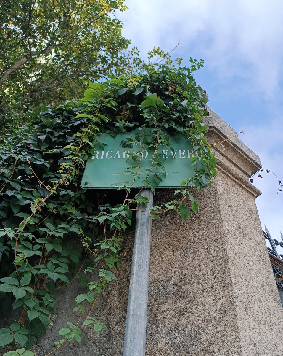 Já cortavam a franja ao rosto envergonhado do topónimo.