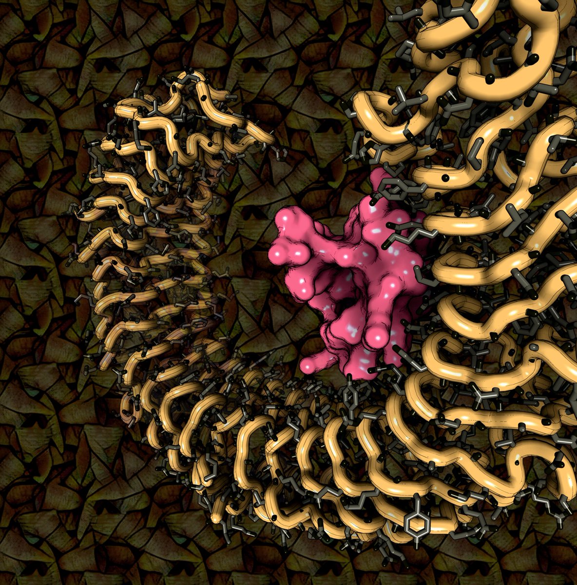Here you can see a cryoEM structure of the human TLR3 receptor in complex to a de novo designed binder (PDB code: 8YHU)

Rendering by Francisco J. Enguita (<a href="/fenguita/">Francisco J. Enguita</a>) made with #ProteinImager

3dproteinimaging.com/protein-imager…

#SciArt #molecularart #virus #binder #design #cryoem