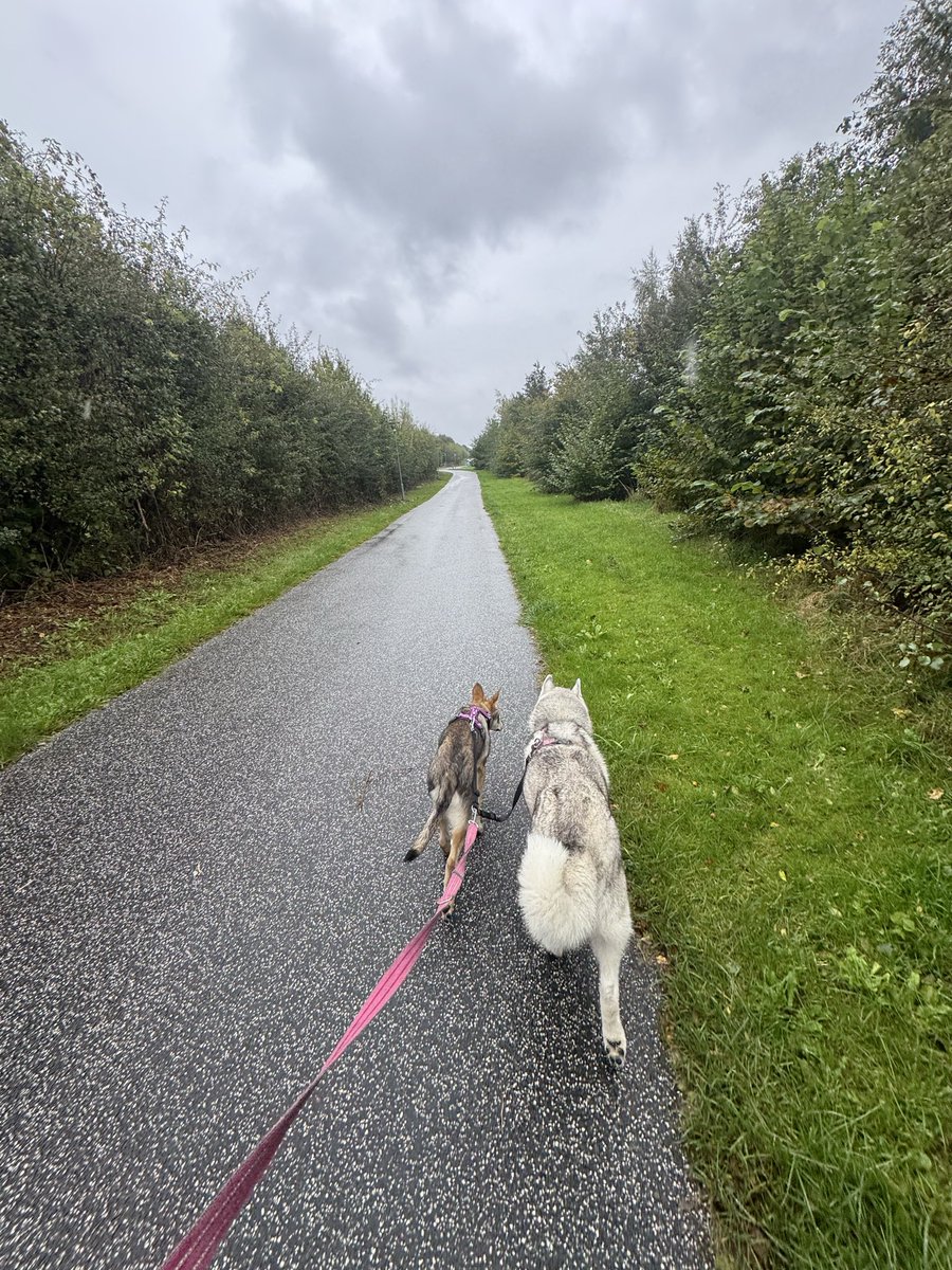 Hils på Lunas nye lillesøster Bella 😍