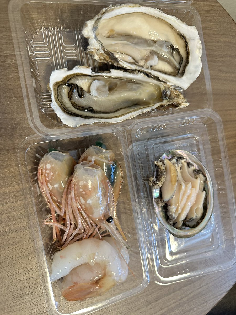 Hokkaido Day 4 : Sapporo①