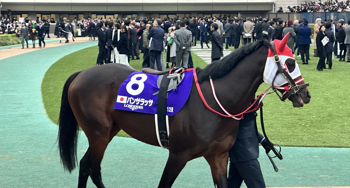 【現地観戦馬券】2020年　ジャパンカップ　1,2,3着馬券 現地観戦馬券】2020年 ジャパンカップ 1,2,3着馬券 2025年最新