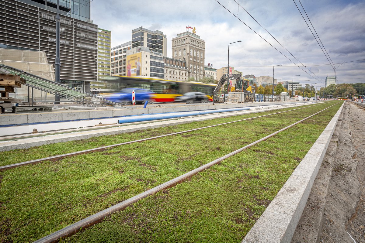 Przebudowywane torowisko na Marszałkowskiej zazielenia się rozchodnikiem: Mamy już blisko 50 km zielonego toru w Warszawie, a najstarsze zielone torowisko skończyło niedawno 20 lat. Teraz do listy dołącza Marszałkowska na odcinku od Świętokrzyskiej do Królewskiej.
Dlaczego