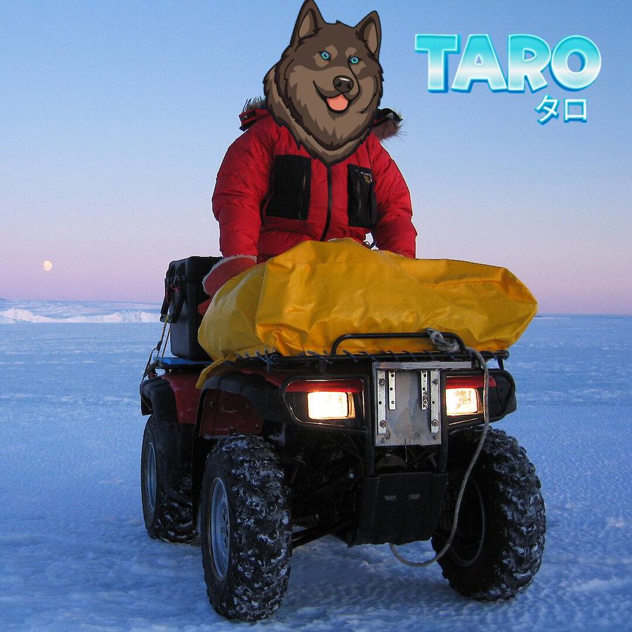 tarocoinbase's tweet photo. Surviving the harshest conditions, $TARO is ready for the journey. With the spirit of adventure, just like the explorers who braved the ice. Are you ready to join the legacy? Let's go! 🐾 https://t.co/HL2QY888HH