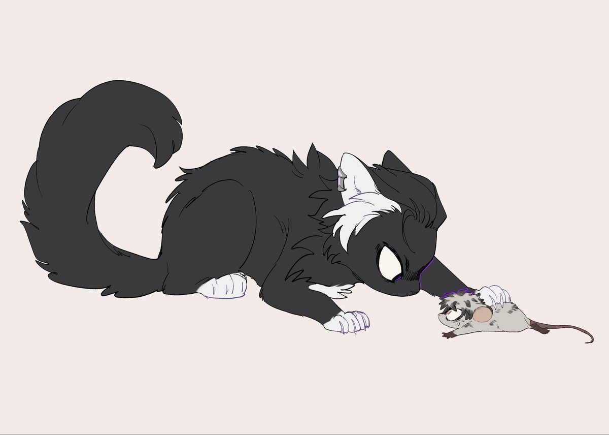 ไอเหมียวอย่าสวบน้อง