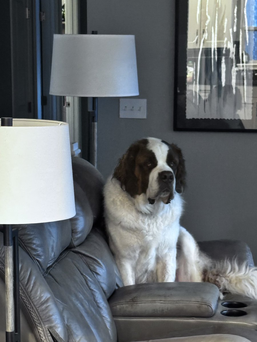 Dave Growl tweet media