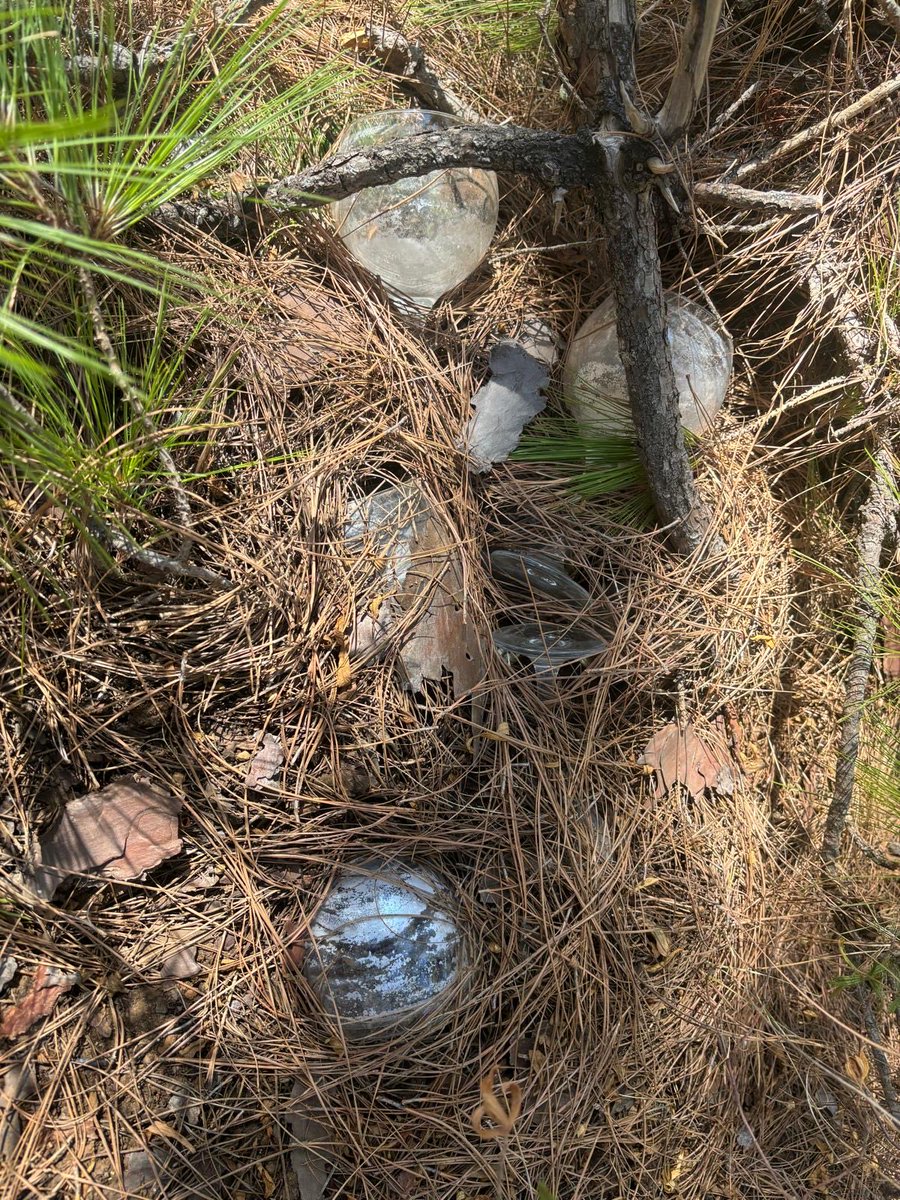 jarome87's tweet photo. Hoy subí a Las Raíces con mi familia y nos encontramos con esto. Seis copas de cristal y un crucifijo en la base de un pino, todo ello cubierto de pinocha. Hay que ser desgraciad@ para querer prender fuego a un monte por diversión. Por suerte, ya están en la basura. https://t.co/vefM6c0Ugl