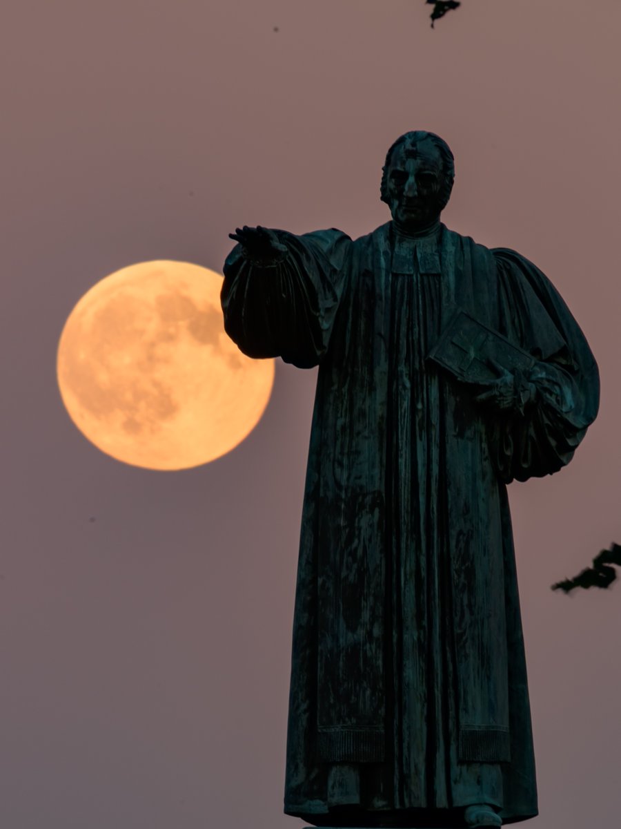 Trinity College tweet media