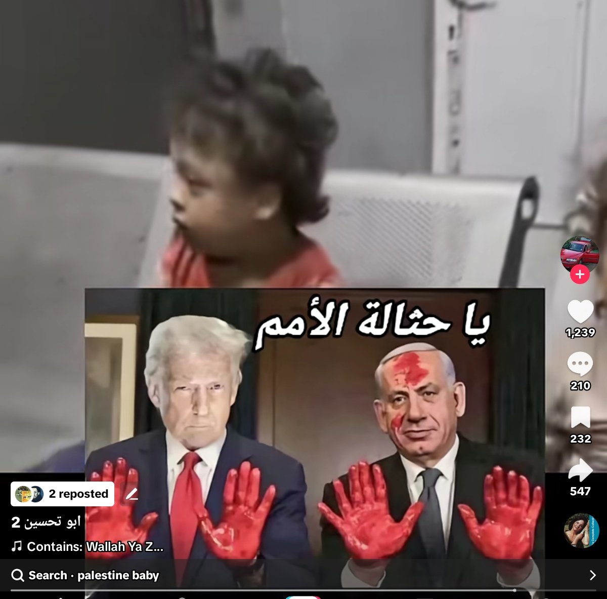 Iraq 🇮🇶 (@iraqforeverlong) on Twitter photo <a href="/georgegalloway/">George Galloway</a> The are millions of reasons, one of them is this girl what she did in her short life just for being born in Palestine? 🤔 <a href="/georgegalloway/">George Galloway</a> The are millions of reasons, one of them is this girl what she did in her short life just for being born in Palestine? 🤔