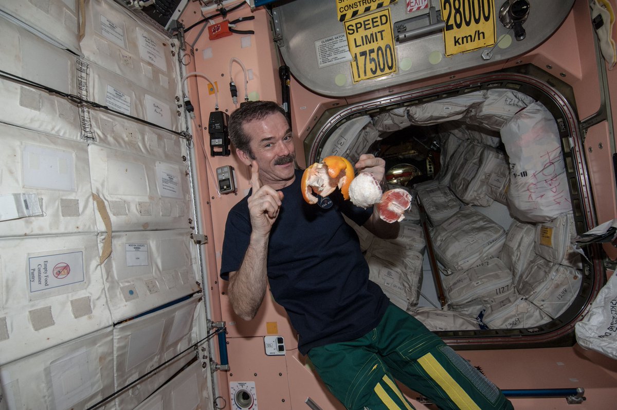 csa_asc's tweet image. Life on the ISS means rethinking daily routines: astronauts sleep in secured sleeping bags and wash with no-rinse soap, all while orbiting Earth at 28,000 km/h.

Get the full story: asc-csa.gc.ca/eng/astronauts…
#WorldSpaceWeek

📷 : CSA, NASA