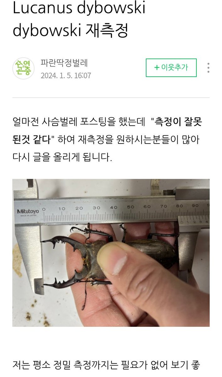 マダオウォーリアーズ tweet media