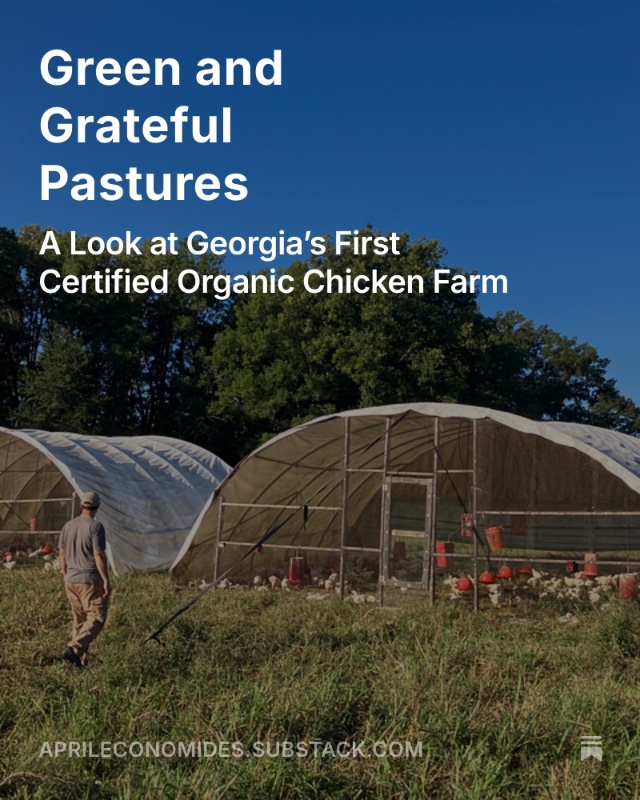 April Economides tweet media