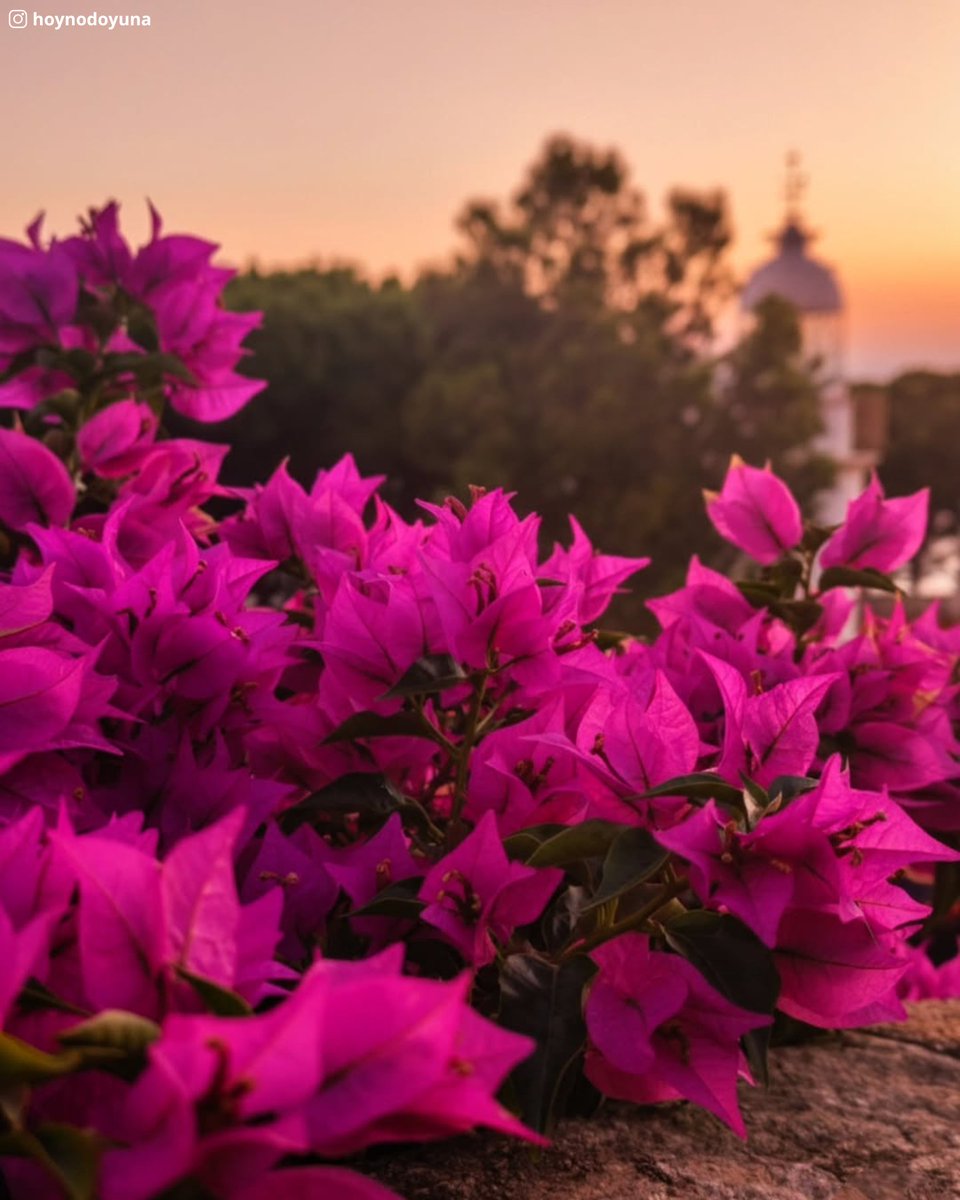 Visit Roses (@visitroses) on Twitter photo Bon cap de setmana! 🌺🟠
¡Buen fin de semana! 🌺🟠
Bon week-end! 🌺🟠
Enjoy your weekend! 🌺🟠
Geniesse dein Wochenende! 🌺🟠
Fijn weekend! 🌺🟠
Goditi il weekend! 🌺🟠
📸 (Ig) <a href="/hoynodoyuna/">hoynodoyuna</a> - Moltes gràcies! 🥰
<a href="/costabrava/">Costa Brava Pirineu</a> <a href="/badiaderoses/">Badia de Roses - World Bays</a> <a href="/catexperience/">Catalunya Experience</a> @ajroses Bon cap de setmana! 🌺🟠
¡Buen fin de semana! 🌺🟠
Bon week-end! 🌺🟠
Enjoy your weekend! 🌺🟠
Geniesse dein Wochenende! 🌺🟠
Fijn weekend! 🌺🟠
Goditi il weekend! 🌺🟠
📸 (Ig) <a href="/hoynodoyuna/">hoynodoyuna</a> - Moltes gràcies! 🥰
<a href="/costabrava/">Costa Brava Pirineu</a> <a href="/badiaderoses/">Badia de Roses - World Bays</a> <a href="/catexperience/">Catalunya Experience</a> @ajroses