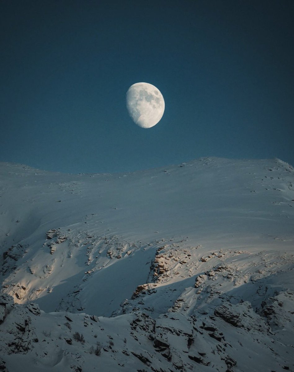 Did humans land on the moon in 1969, or is it a conspiracy? 

A. Yes 
B. No 
C. Unsure