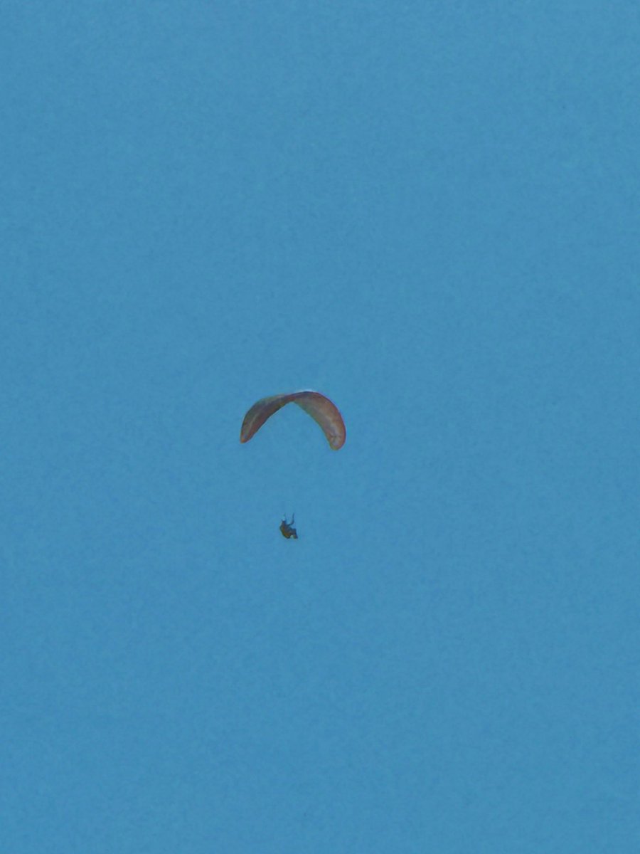 תוהה אם המעופפים מעל זכרון עכשיו לא מצאו יום עם פחות טראומה לאומית לעשות את התחביב שלהם