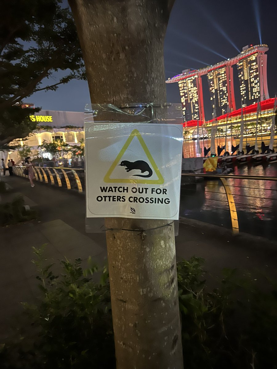 hannah rogerson tweet media