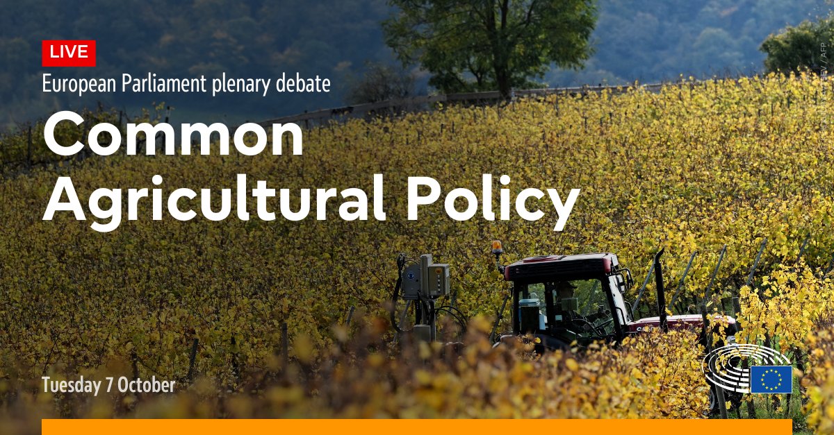 EuroParlPress's tweet image. 🔴 Live now: #EPlenary  joint debate

Common Agricultural Policy

📺 Watch ⤵️

link.europa.eu/V6Rt74
