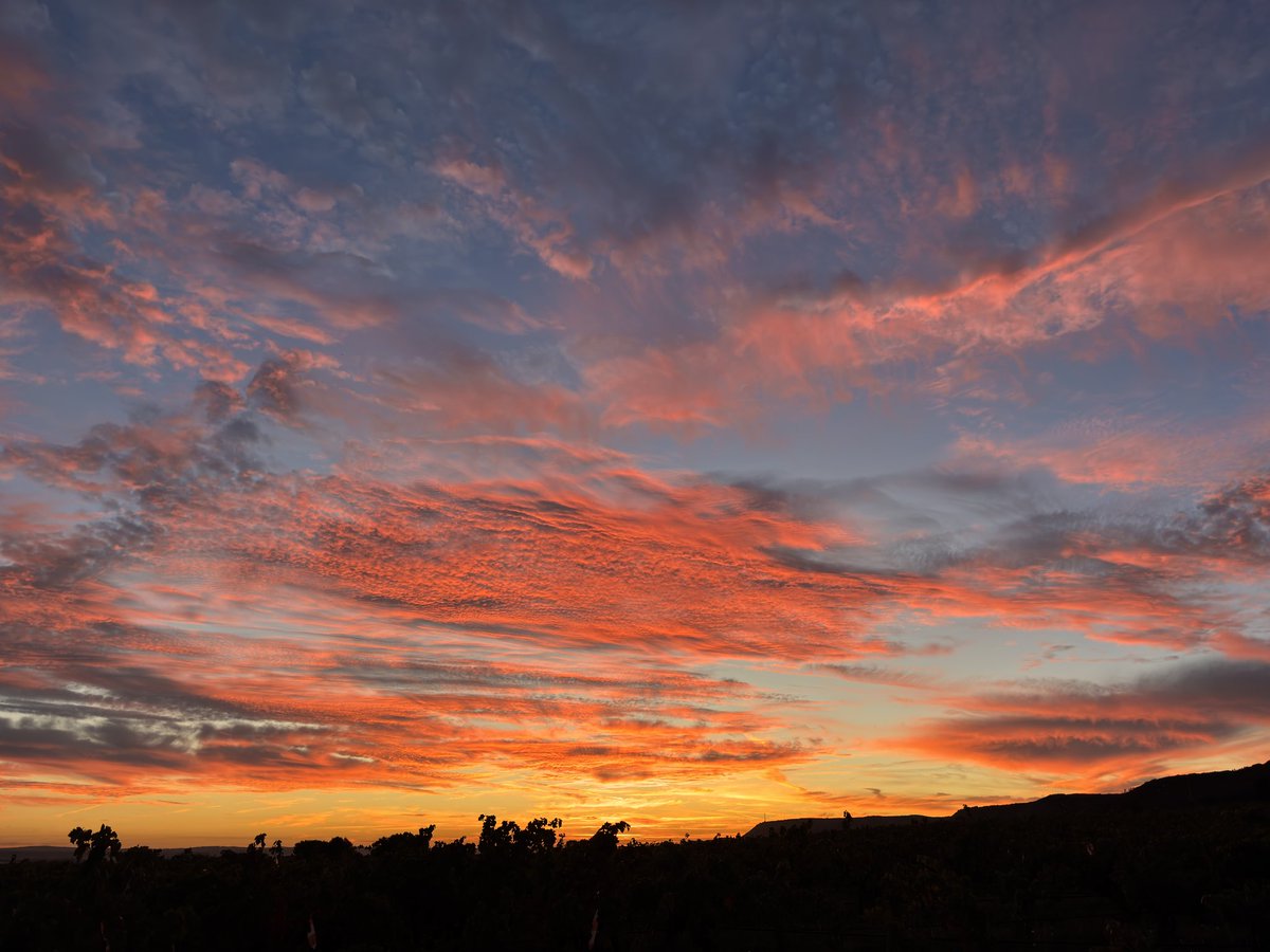 RIOJATORMENTAS's tweet image. Amanecer hoy en #Logroño