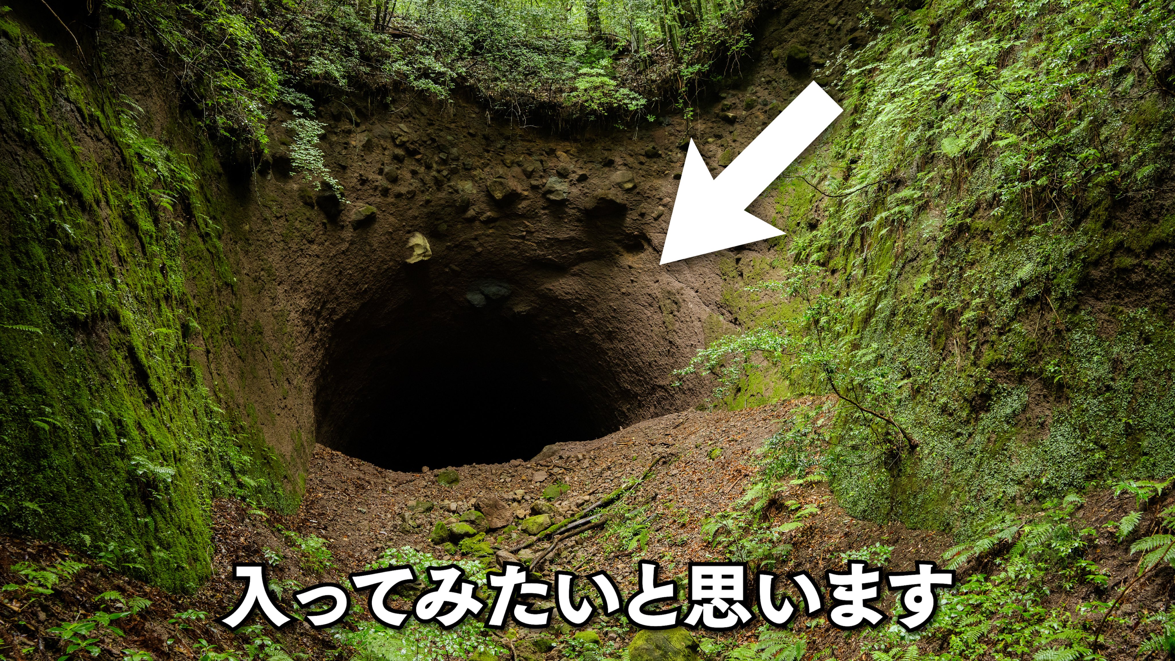 ひまりょう♬様確認用 やま (@y12z9) / Posts / X