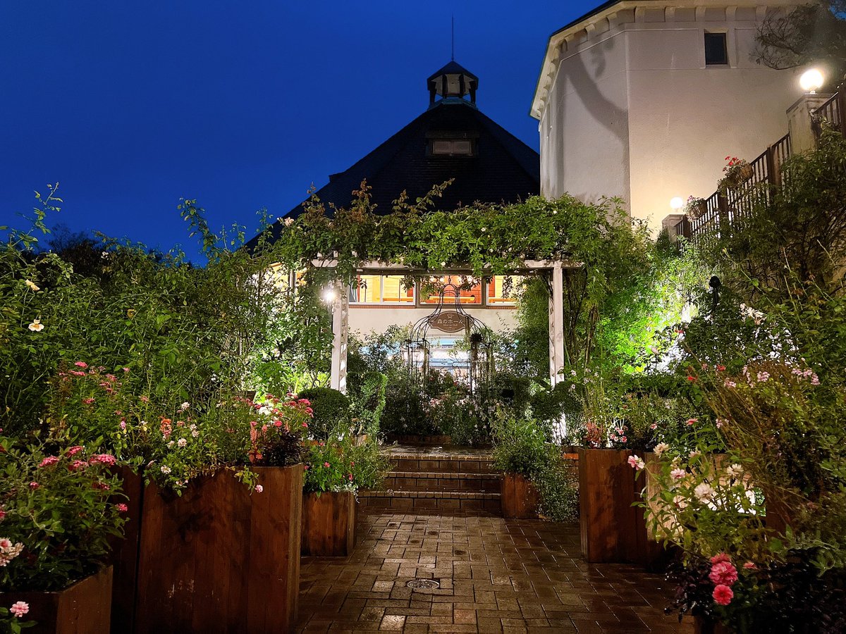 koikano_sanna's tweet image. ずっと行ってみたかった神戸の布引ハーブ園🌹
今回は夜景が見たくて夜に行ったけど、次は昼間に行ってガーデンエリアを楽しみたいなぁ🌷.*
ここはクリスマスの時期に行くのもおすすめ🎄
今年のクリスマスは何しようかなぁ…？💭
#コイカノ #コイカノ関西 #レンタル彼女 #デート