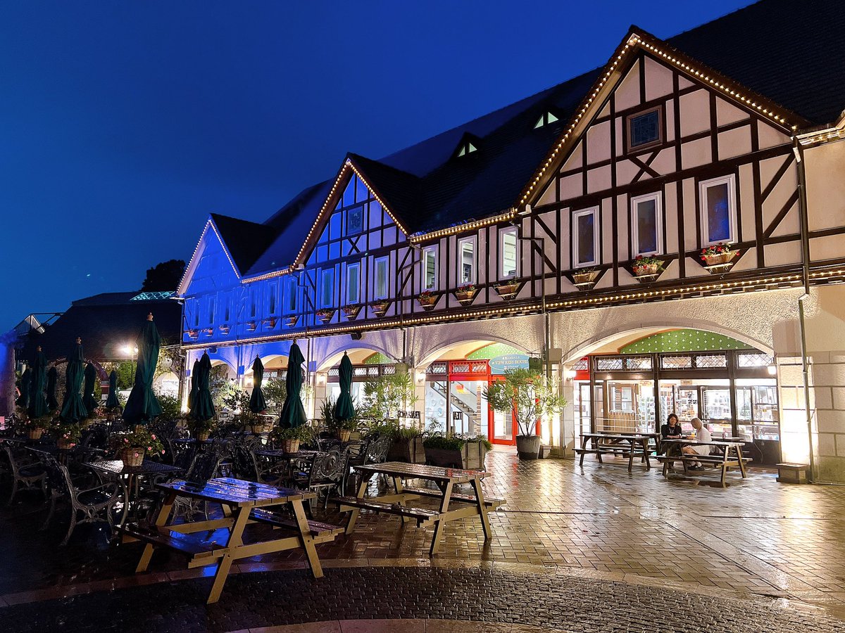 koikano_sanna's tweet image. ずっと行ってみたかった神戸の布引ハーブ園🌹
今回は夜景が見たくて夜に行ったけど、次は昼間に行ってガーデンエリアを楽しみたいなぁ🌷.*
ここはクリスマスの時期に行くのもおすすめ🎄
今年のクリスマスは何しようかなぁ…？💭
#コイカノ #コイカノ関西 #レンタル彼女 #デート