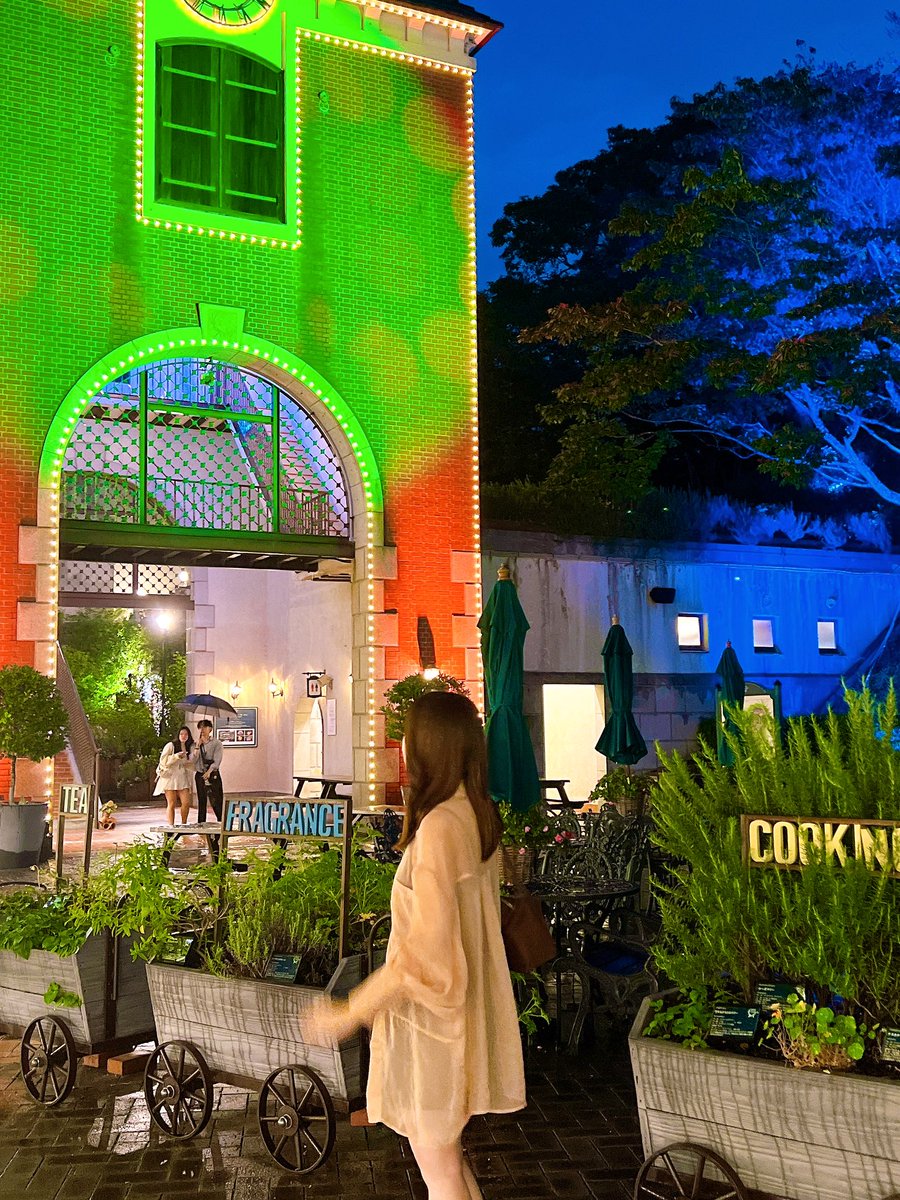 koikano_sanna's tweet image. ずっと行ってみたかった神戸の布引ハーブ園🌹
今回は夜景が見たくて夜に行ったけど、次は昼間に行ってガーデンエリアを楽しみたいなぁ🌷.*
ここはクリスマスの時期に行くのもおすすめ🎄
今年のクリスマスは何しようかなぁ…？💭
#コイカノ #コイカノ関西 #レンタル彼女 #デート