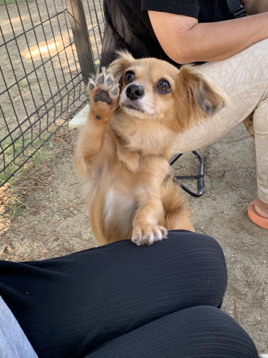 ぽこた。 (@pokota0319) / X