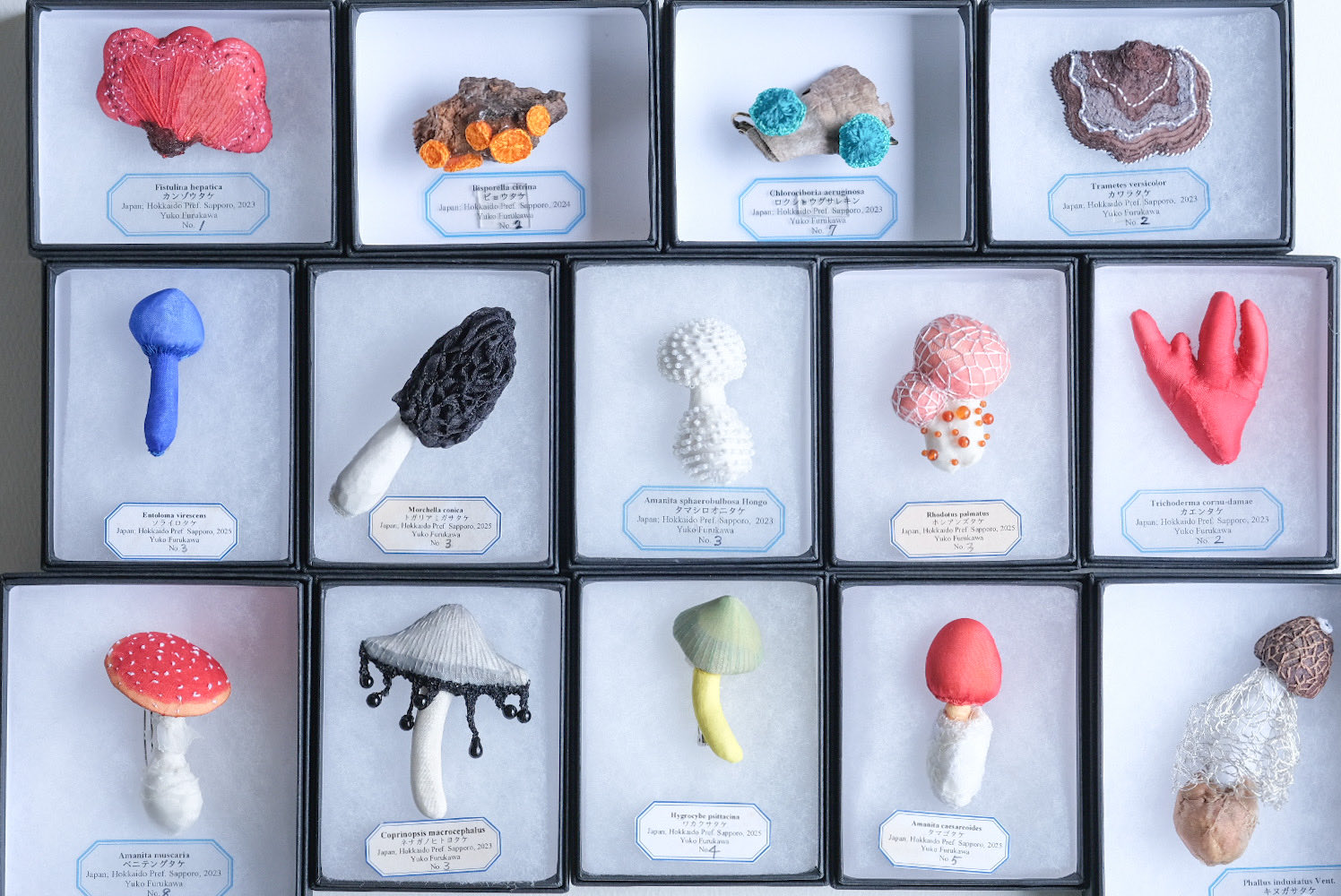 時代物彩色美術品です❣️ 柚木沙弥郎の100年 創造の軌跡｜青幻舎 SEIGENSHA Art