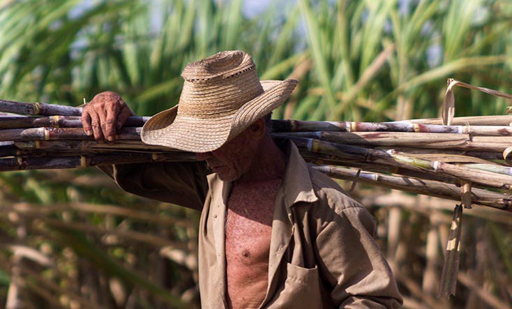 MTSS_CUBA's tweet photo. En el Día del Trabajador Azucarero, nuestro reconocimiento a los obreros que roturan la tierra y siembran y cosechan la caña, los que producen azúcar, quienes prestan servicios, investigan y hacen proyectos, así como los que mantienen informados a toda la industria. https://t.co/kBTmMP10dk