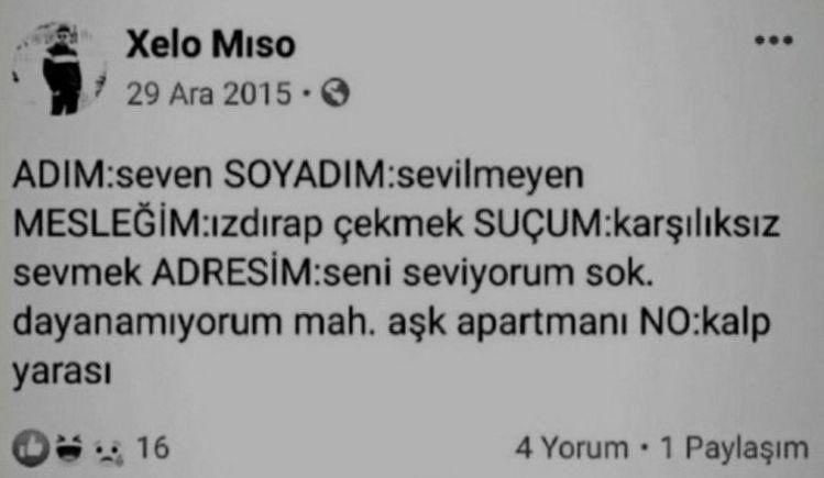 ayse846836's tweet image. 