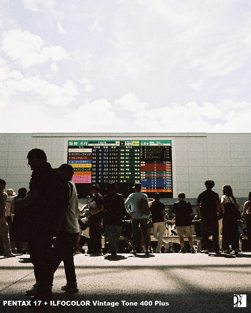 RATATATO's tweet photo. 阪神競馬場 パドック
📷 PENTAX 17 #pentax17
🎞️ ILFOCOLOR Vintage Tone 400 Plus #ilfocolor https://t.co/NApPsqy1qC