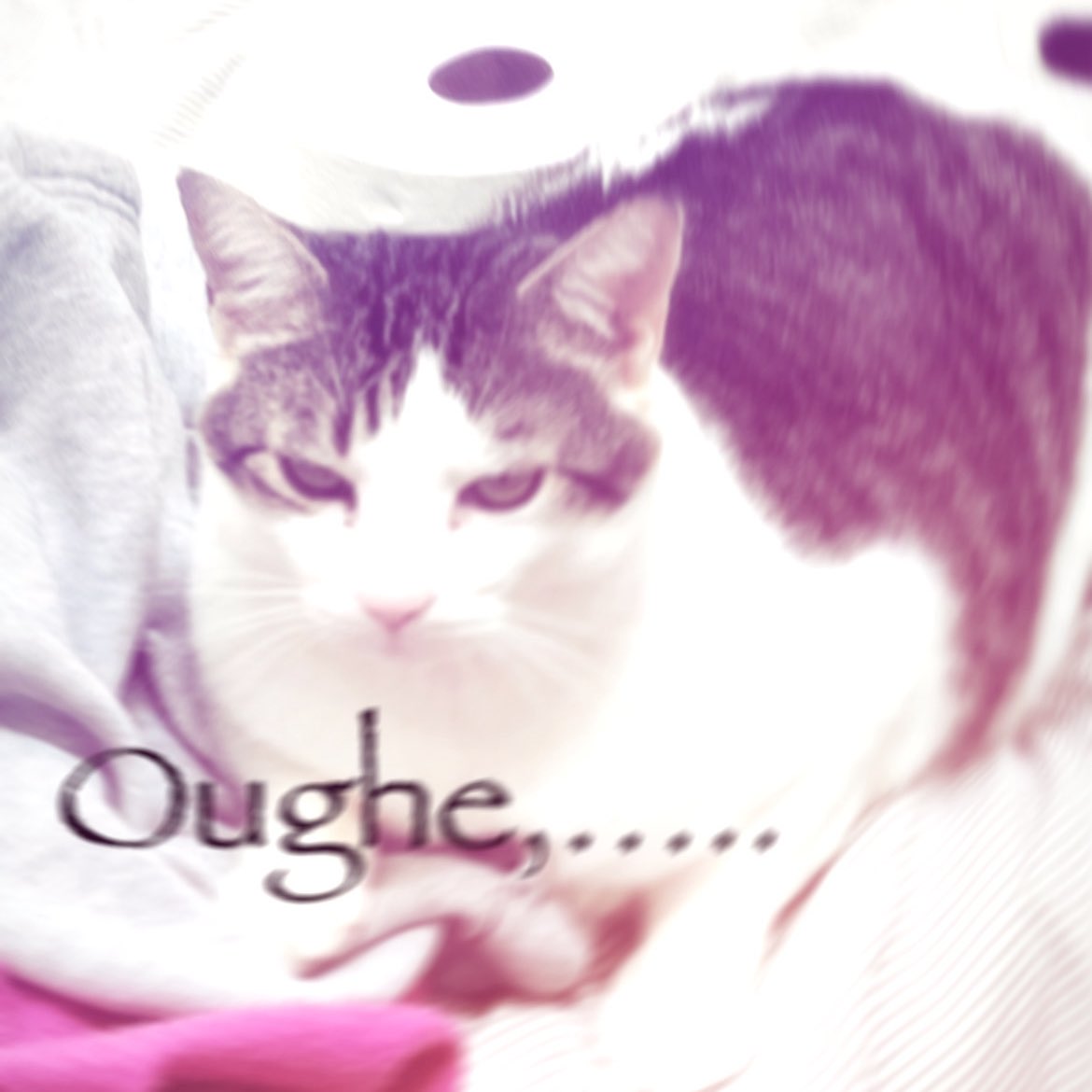 chance1084059's tweet image. 
