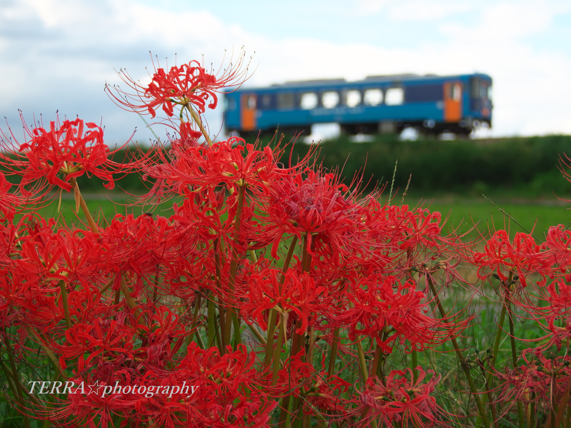 TERRA@FPF8(11/20-24久留米) on X: 