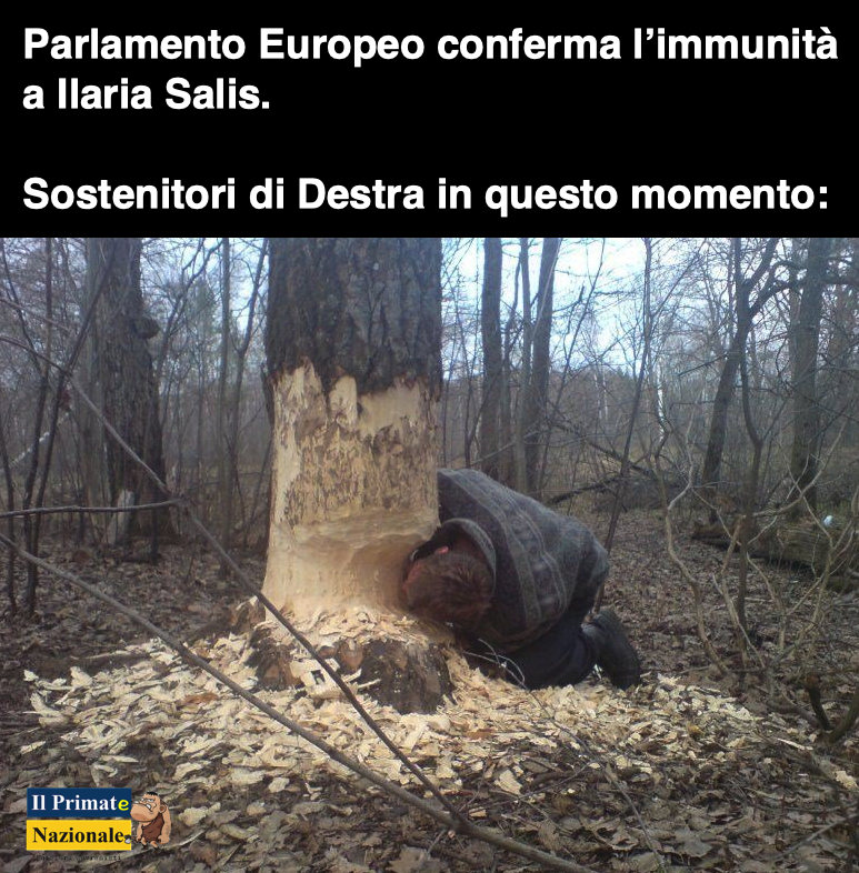 Il Primate Nazionale tweet media