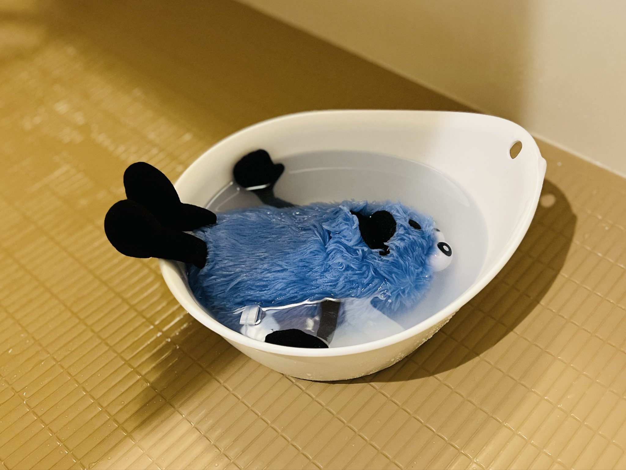 すんすん♥ Look over there - YouTube