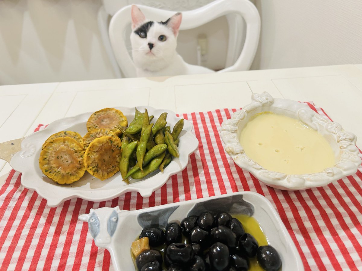 お友達のうたはるさり様<a href="/utaharusari/">うたはるさり🐈‍⬛🐈🎹時々おそら組🌈</a> のネットショップで先日お取り寄せしたお料理です♪こちらは夏のメニューですが、秋メニューも美味しそう☺️

sallysbar.base.shop

動物の器はよしざわ窯さんです🐏🐄🐻‍❄️