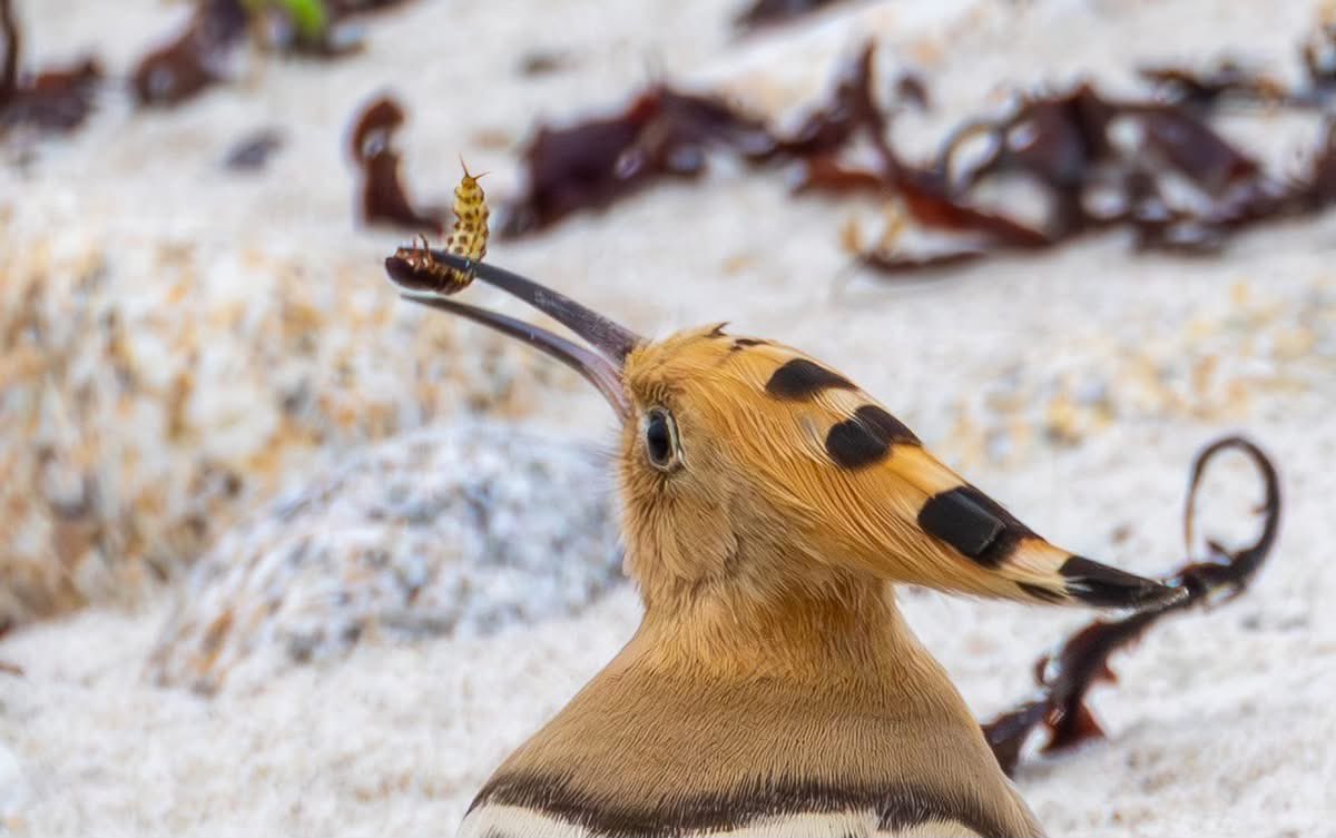 Peter Garrity tweet media