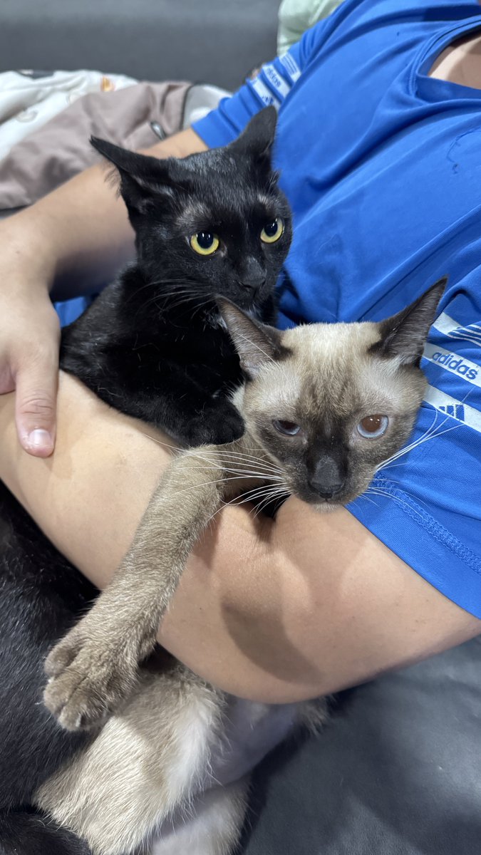 โคสจะนักเลงอะ