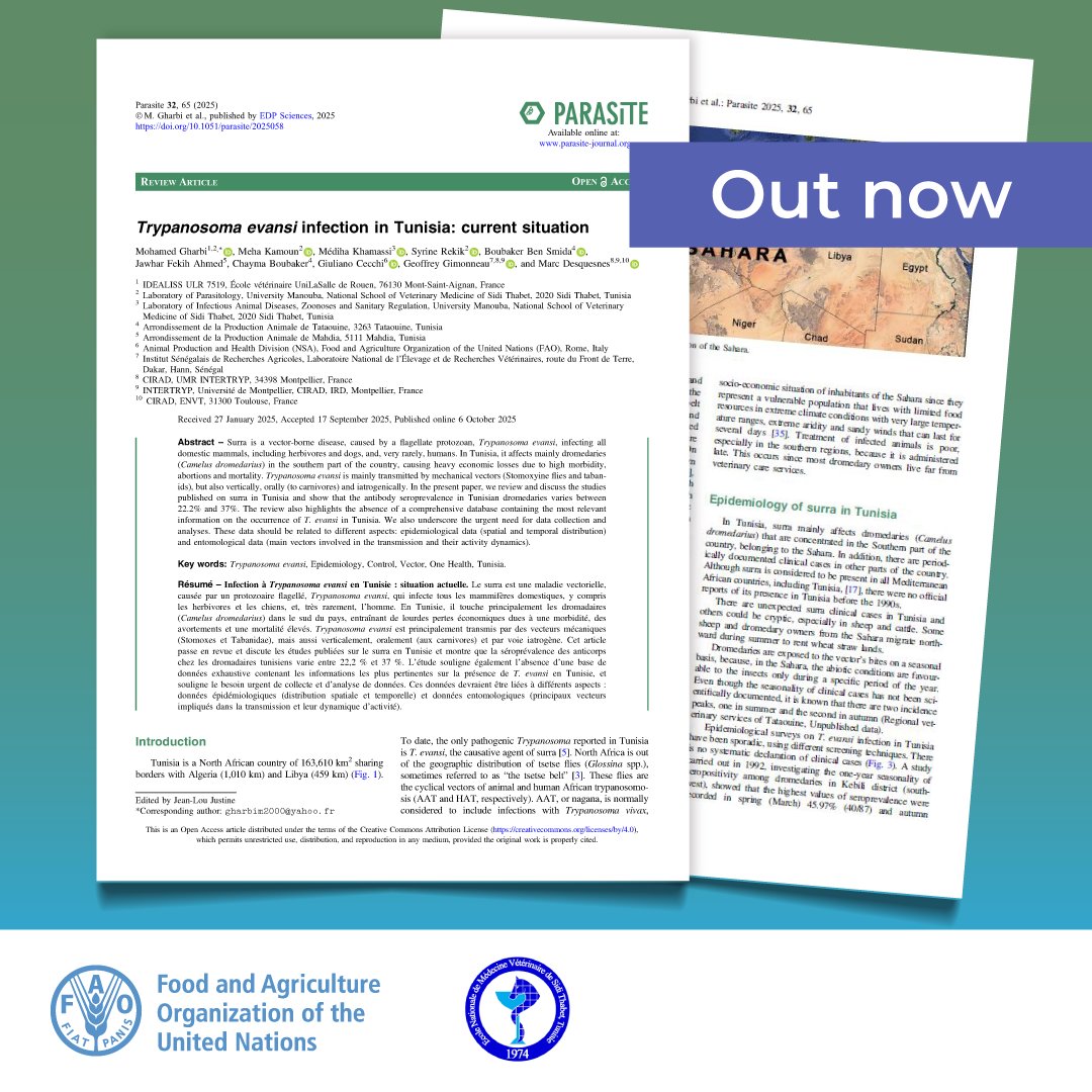#ReadingNow | New paper on vector-borne animal #trypanosomosis in #Tunisia

#YearOfCamelids

📑 Read paper:  doi.org/10.1051/parasi…
👉 COMBAT project:   doi.org/10.12688/openr…
👉 DIMCAT project:  doi.org/10.1016/j.pt.2…
🪰🗺️ Tsetse atlas:  doi.org/10.4060/cd2022…
