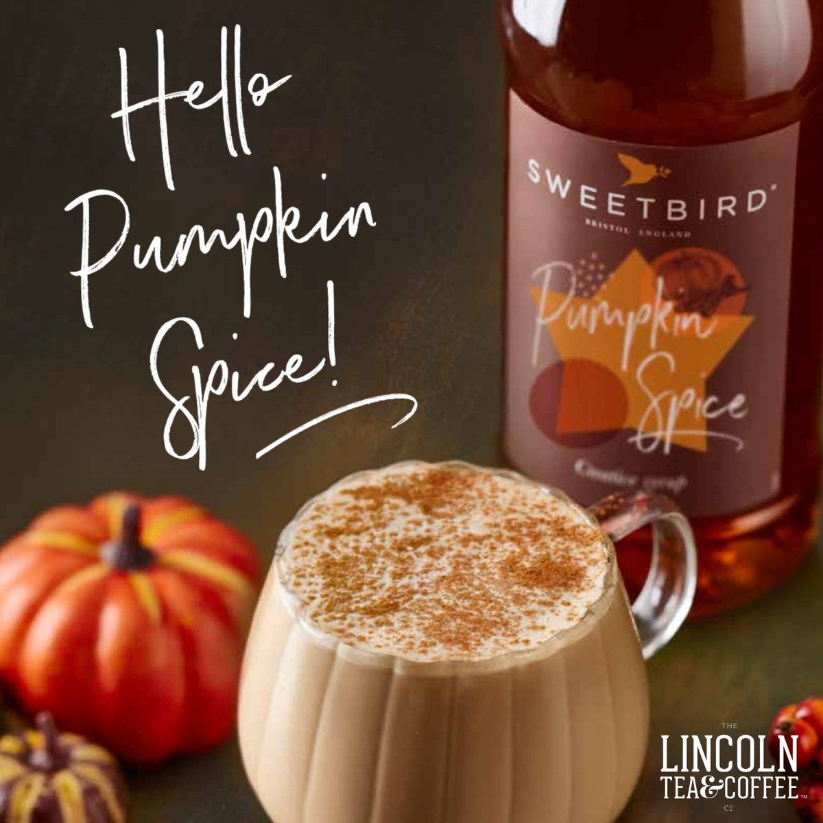 Hello #PumpkinSpice🎃

It’s the season for warm drinks and a hint of spice🍁

Enjoy serving your customers autumnal flavours this #halloween and beyond☕

Existing customers👉form.jotform.com/lincolnteaandc…

New customers👉form.jotform.com/lincolnteaandc…

#Recipe Sheet👉thelincolnteaandcoffeecompany.co.uk/pumpkin-spice-…