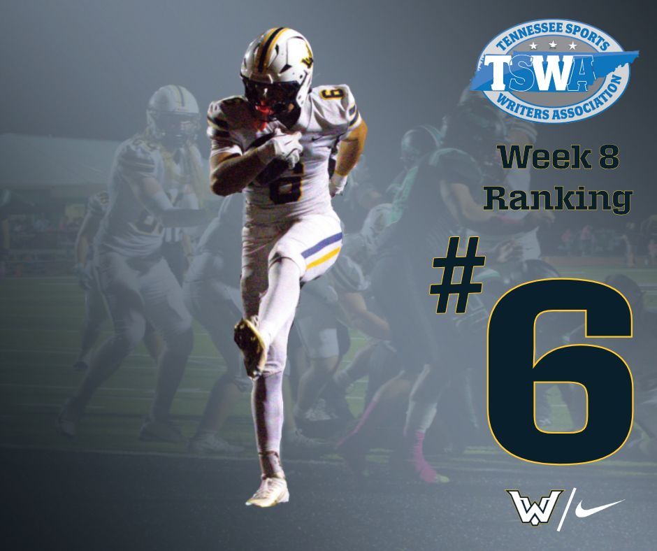 Week 8 Polls - Climbing Again.