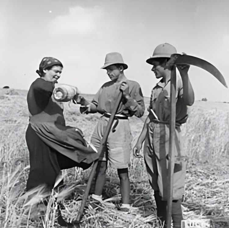 في مثل هذا اليوم، السابع من أكتوبر 1970، اكتمل إجلاء المستوطنين الطليان من على الأرض العربية الليبية، بفعل الإرادة الثورية لمعمر القذافي ورفاقه الأحرار.

اختار معمر (وهو شاب في الثامنة والعشرين) هذا التاريخ بالذات لأنه نفس اليوم الذي ضربت فيه البوارج الحربية الطليانية حاضرة