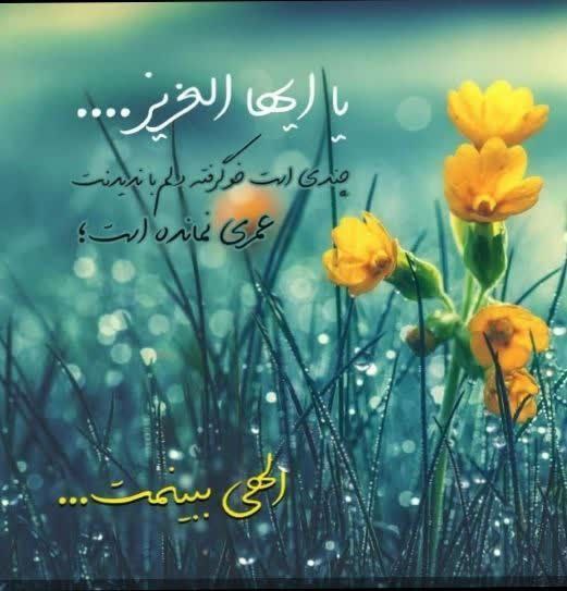 امام زمانم...

چندی است خو گرفته 
دلم با ندیدنت ؛
عمری نمانده است ؛
الهی ببینمت .....

اللّهُمّ عَجّلْ لِوَلیّکَ الفَرج