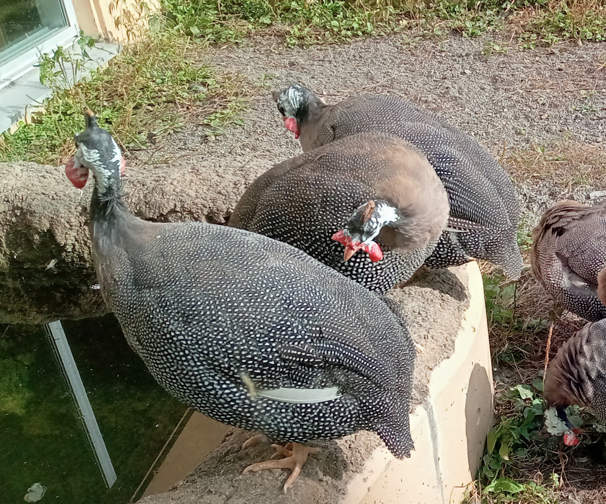 ももちん ももちん☆ (@momochin0801) / X