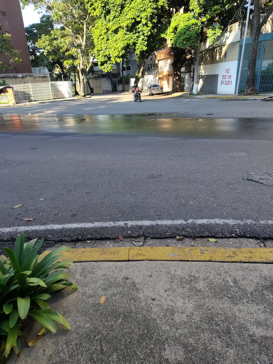 Maria Molina tweet media