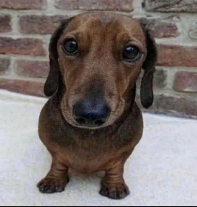 FIRE BRIAN KELLY tweet media