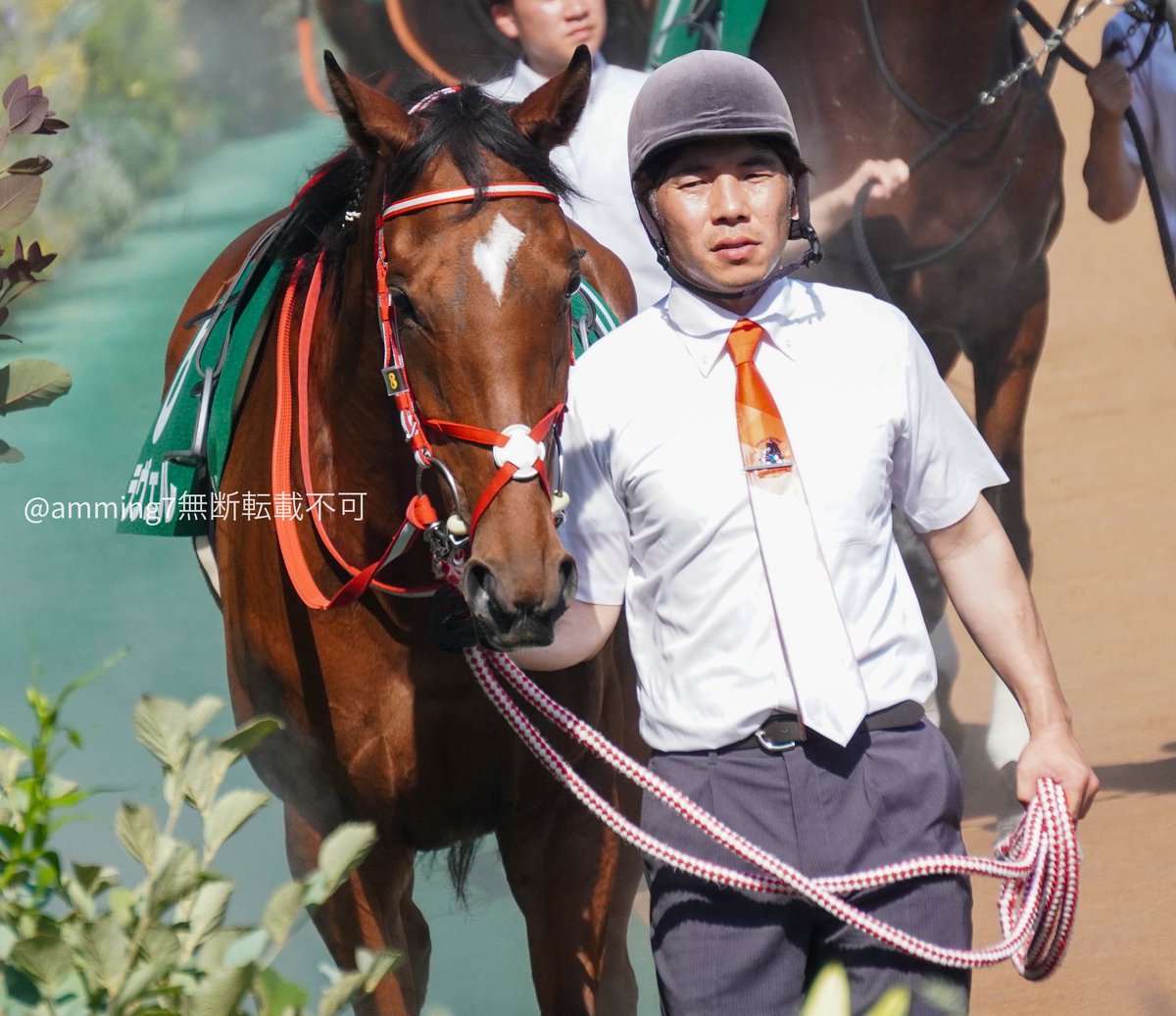 amming7's tweet image. ラヴェルちゃん引退とのことで、府中牝馬ステークスの時の写真を何点か。引退お疲れ様。素敵なママになってね。#ラヴェル #キタサンブラック産駒