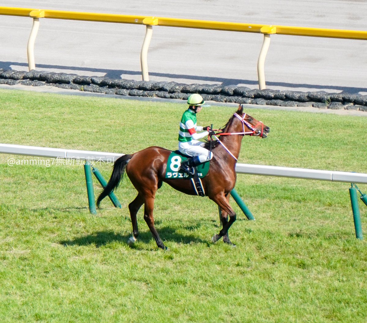 amming7's tweet image. ラヴェルちゃん引退とのことで、府中牝馬ステークスの時の写真を何点か。引退お疲れ様。素敵なママになってね。#ラヴェル #キタサンブラック産駒