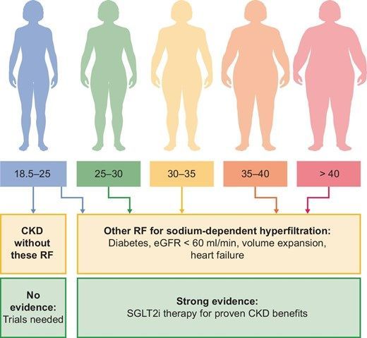 SGLT2 inhibitors in CKD: are they really effective in all patients? 
More info: academic.oup.com/ndt/article/40… 
<a href="/NDTsocial/">NDT</a>, <a href="/vinckcaro/">Caroline Vinck</a>, <a href="/hjanders_hans/">Hans-Joachim Anders</a>, <a href="/ERAkidney/">ERA - European Renal Association</a>